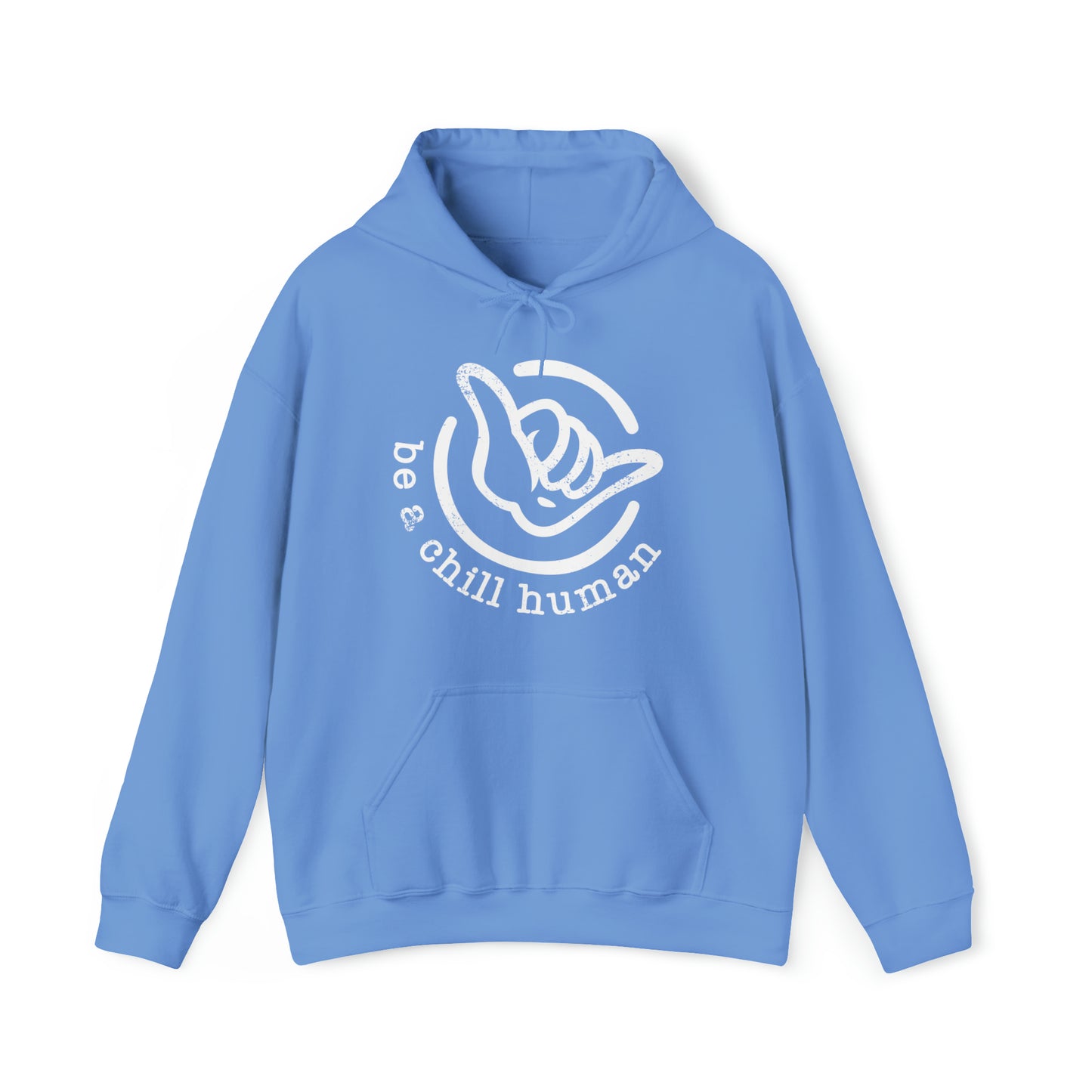 Big Logo Hooded Sweatshirt